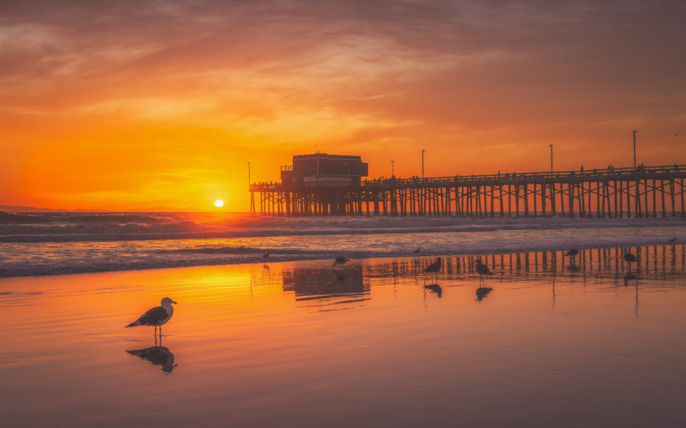 California Scenic Photography Newport Beach, CA