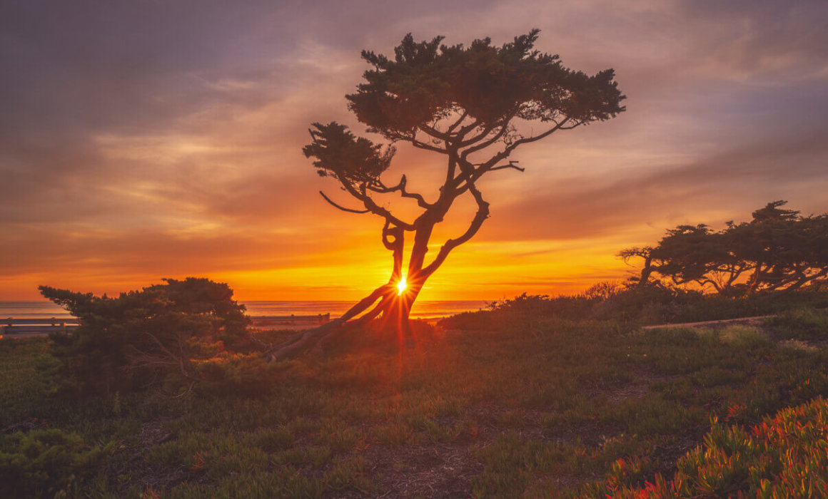 Carlsbad, Fine Art Photography, Carlsbad Photography, Nature Photography, Fine Art Photographer, California, California Photography, San Diego Photographer, California Photographer, Scenic Photography, Sunset Photography, Scenic, Scenic Photographer, San Diego